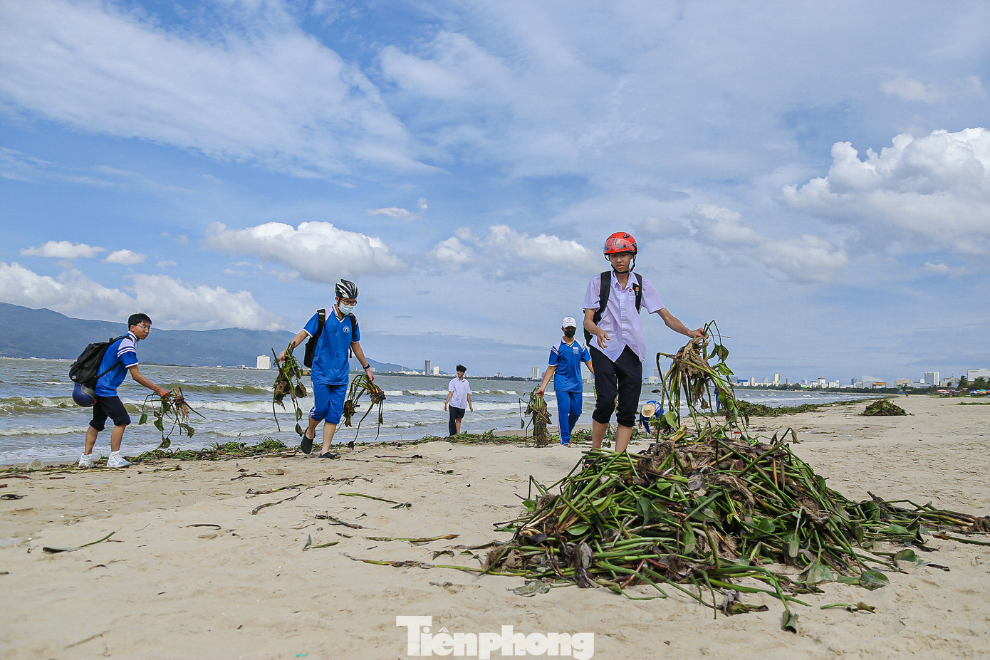 Bèo tây được các bạn gom thành từng đống lớn để công nhân vệ sinh môi trường dễ dàng thu gom.