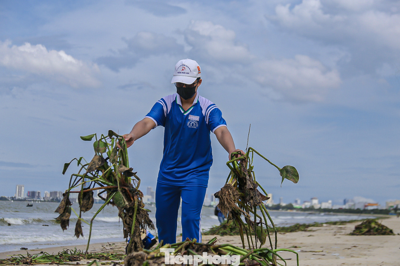 Bèo tây được các bạn gom thành từng đống lớn để công nhân vệ sinh môi trường dễ dàng thu gom.