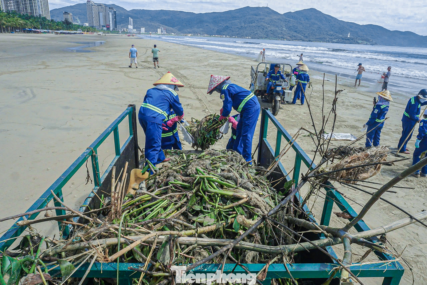 Công nhân vệ sinh môi trường ra quân thu dọn rác dọc các bãi biển.