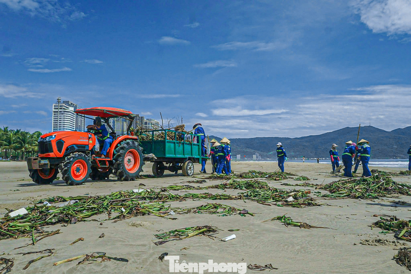 Công nhân vệ sinh môi trường ra quân thu dọn rác dọc các bãi biển.