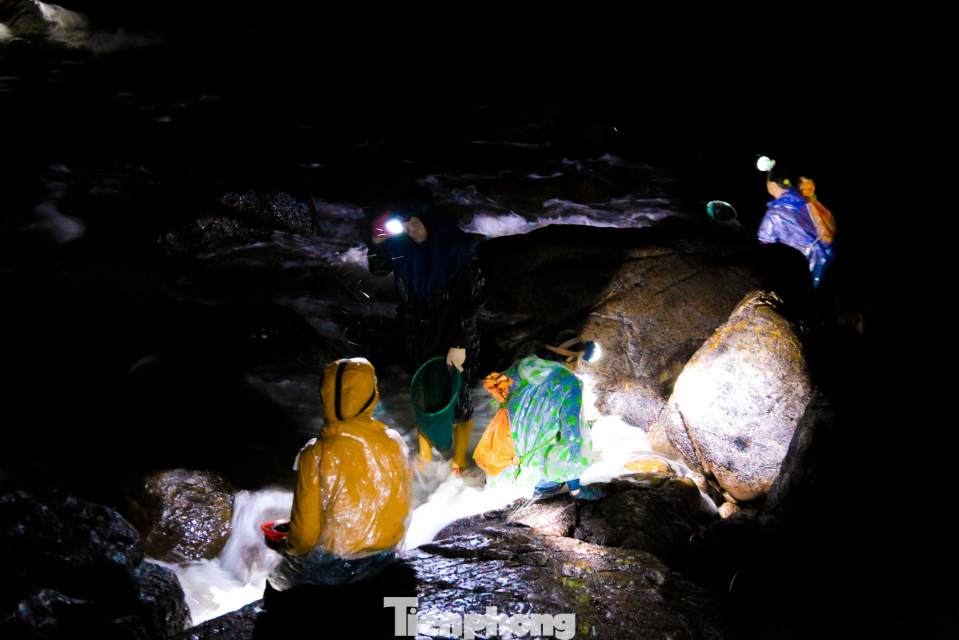 Họ phải đi xa bờ hàng trăm mét, bám trên những ghềnh đá cheo leo, trơn trượt và đầy nguy hiểm, chịu đựng từng đợt sóng mạnh ập vào người để mưu sinh trong màn đêm. Với họ, mứt biển không chỉ là nguồn sinh kế quan trọng mà còn là món quà quý giá mà thiên nhiên ban tặng.