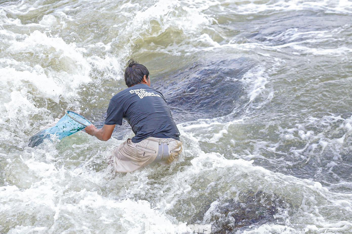 Nhiều người đi xuyên đêm đến sáng để thu hoạch mứt. Họ đánh cược mạng sống của mình trên những tảng đá trơn trượt, nguy hiểm để mưu sinh.