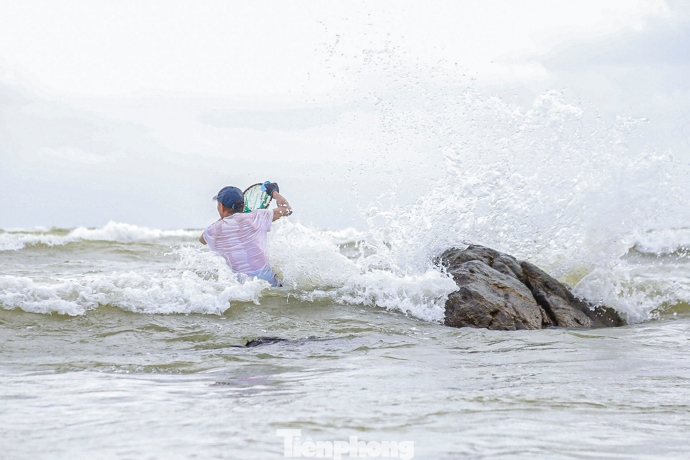 Nhiều người đi xuyên đêm đến sáng để thu hoạch mứt. Họ đánh cược mạng sống của mình trên những tảng đá trơn trượt, nguy hiểm để mưu sinh.