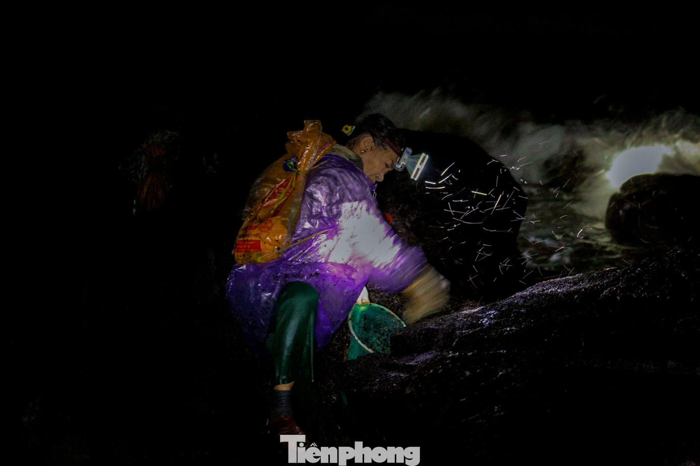 Họ phải đi xa bờ hàng trăm mét, bám trên những ghềnh đá cheo leo, trơn trượt và đầy nguy hiểm, chịu đựng từng đợt sóng mạnh ập vào người để mưu sinh trong màn đêm. Với họ, mứt biển không chỉ là nguồn sinh kế quan trọng mà còn là món quà quý giá mà thiên nhiên ban tặng.