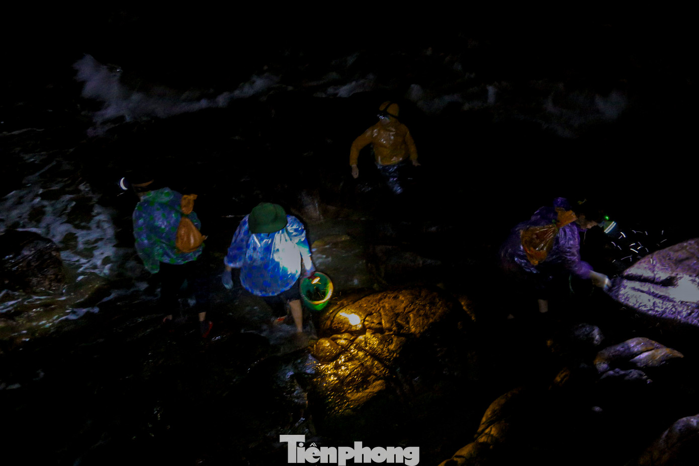 Để hái được rong mứt họ phải ngâm mình dưới nước biển lạnh giá hàng giờ đồng hồ, đối mặt với nhiều hiểm nguy, chỉ cần một đợt sóng lớn có thể đánh ngã họ bất cứ lúc nào.