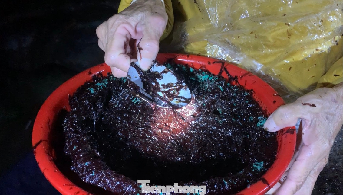 Công cụ hái rong mứt chủ yếu là một chiếc vợt và tấm kim loại mỏng, tròn bằng miệng bát để cạo từng mảng rong bám chặt trên đá.