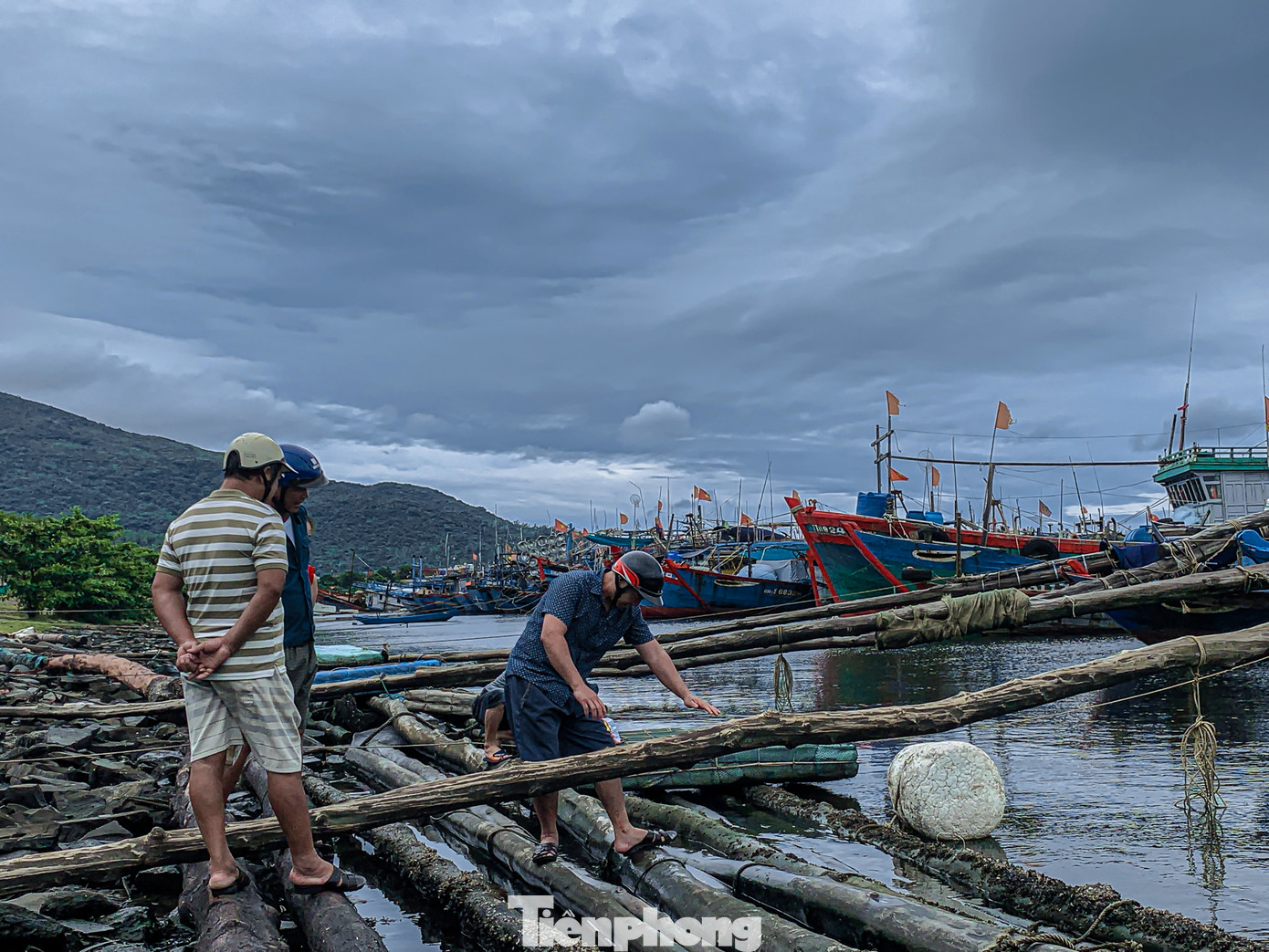 Tàu thuyền được ông Hoàng và người dân neo đậu, dùng gỗ lớn chống, gia cố để tránh va đập khi có gió to. Tàu thuyền được ông Hoàng và người dân neo đậu, dùng gỗ lớn chống, gia cố để tránh va đập khi có gió to.