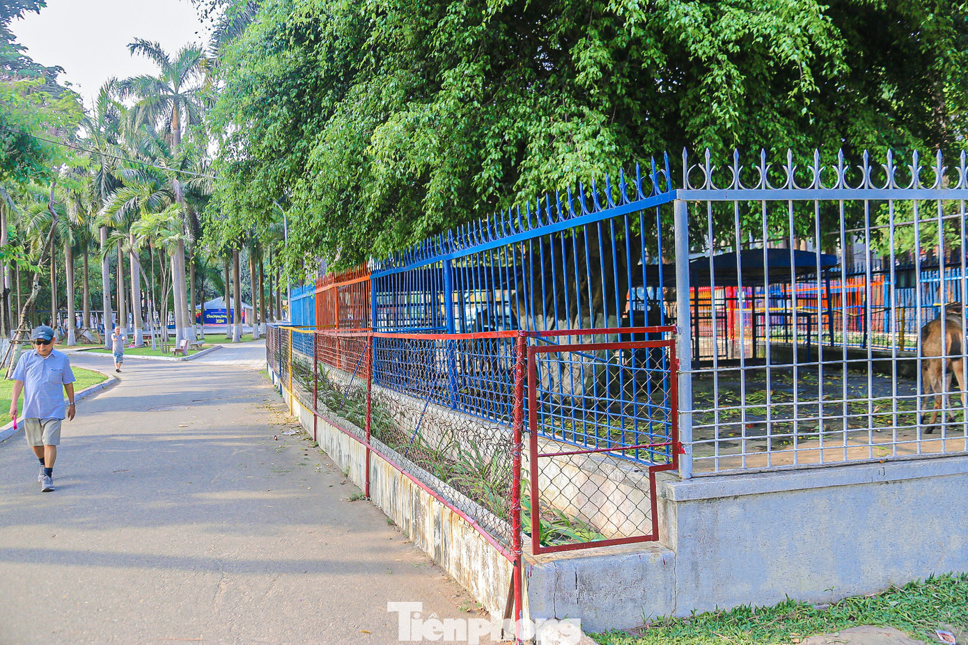 Theo ghi nhận của phóng viên, sở thú ngày càng đìu hiu, ảm đạm do không được chỉnh trang, sửa chữa. Nhiều người không còn hứng thú vào xem khi đi ngang qua đây.