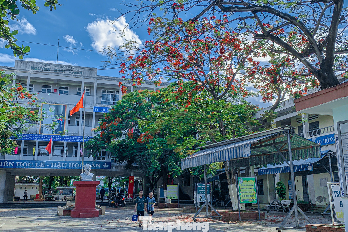 Phượng thường nở vào mùa hè, cũng là mùa chia tay, mùa kỷ niệm của tuổi học trò gắn liền với ký ức đẹp của biết bao thế hệ học sinh, sinh viên.