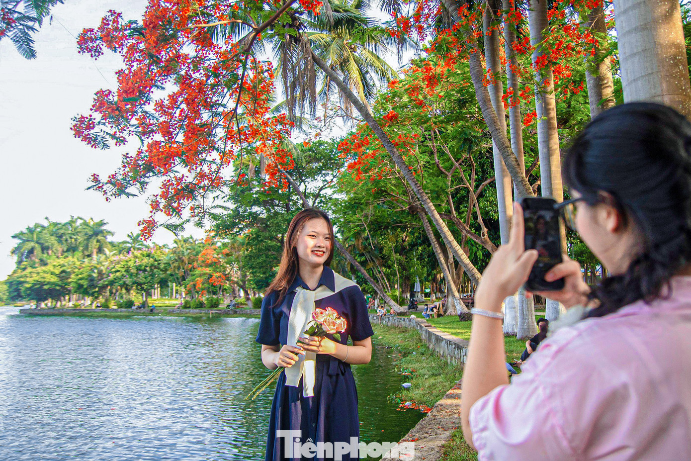 Bạn Đàm Thị Thanh Hải (trú quận Liên Chiểu) cùng nhóm bạn đến vui chơi, thư giãn dưới những gốc phượng tỏa bóng mát giữa nắng nóng mùa hè. “Thời tiết oi bức thế này thì việc lựa chọn những công viên mát mẻ, xung quanh hoa phượng nở rộ đẹp mắt để đọc sách, ngắm cảnh rất thú vị. Ở đây khung cảnh thơ mộng nên em với bạn cũng tranh thủ chụp những bức hình cùng hoa phượng để lưu giữ kỷ niệm của tuổi học trò”, bạn Hải chia sẻ.