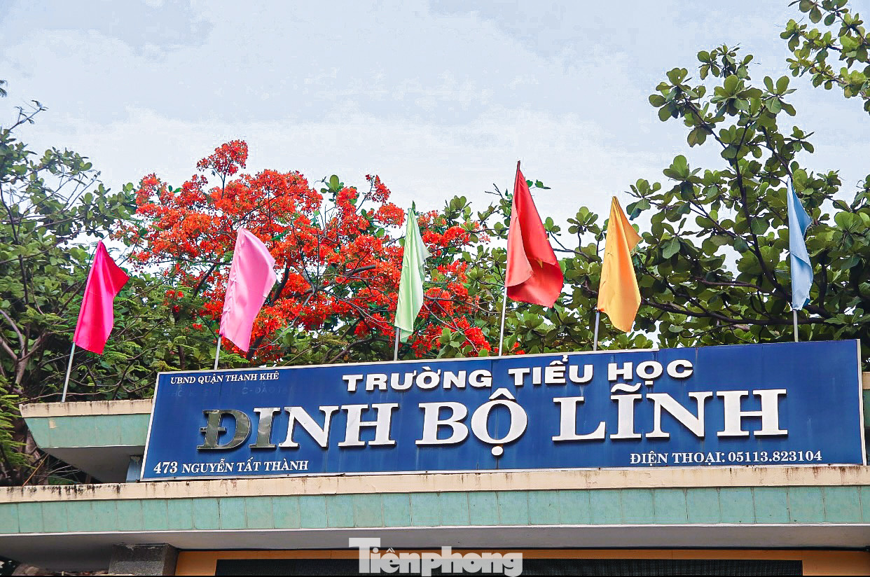 Phượng thường nở vào mùa hè, cũng là mùa chia tay, mùa kỷ niệm của tuổi học trò gắn liền với ký ức đẹp của biết bao thế hệ học sinh, sinh viên.