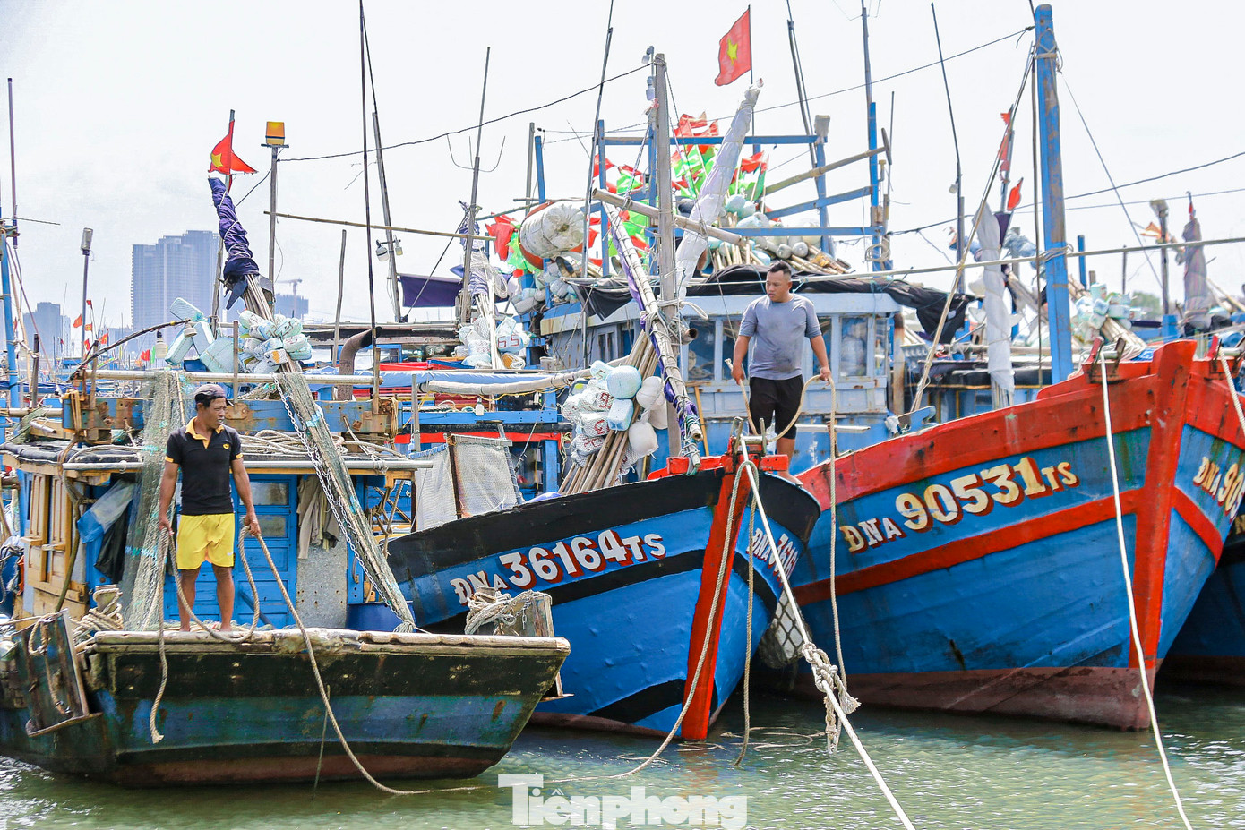 Bộ Chỉ huy Bộ đội Biên phòng TP. Đà Nẵng khẩn trương thông báo cho tất cả các chủ phương tiện, tàu thuyền còn đang hoạt động trên biển biết vị trí, hướng di chuyển, diễn biến và vùng nguy hiểm của bão để chủ động phòng tránh, thoát ra khỏi hoặc không đi vào khu vực nguy hiểm, khẩn trương vào bờ, tìm nơi trú ẩn an toàn. Đồng thời phối hợp với Cảng vụ Đà Nẵng, Trung tâm phối hợp tìm kiếm cứu nạn Hàng hải Khu vực II và các đơn vị liên quan sẵn sàng phương án tìm kiếm cứu nạn trên biển. Bộ Chỉ huy Bộ đội Biên phòng TP. Đà Nẵng khẩn trương thông báo cho tất cả các chủ phương tiện, tàu thuyền còn đang hoạt động trên biển biết vị trí, hướng di chuyển, diễn biến và vùng nguy hiểm của bão để chủ động phòng tránh, thoát ra khỏi hoặc không đi vào khu vực nguy hiểm, khẩn trương vào bờ, tìm nơi trú ẩn an toàn. Đồng thời phối hợp với Cảng vụ Đà Nẵng, Trung tâm phối hợp tìm kiếm cứu nạn Hàng hải Khu vực II và các đơn vị liên quan sẵn sàng phương án tìm kiếm cứu nạn trên biển.