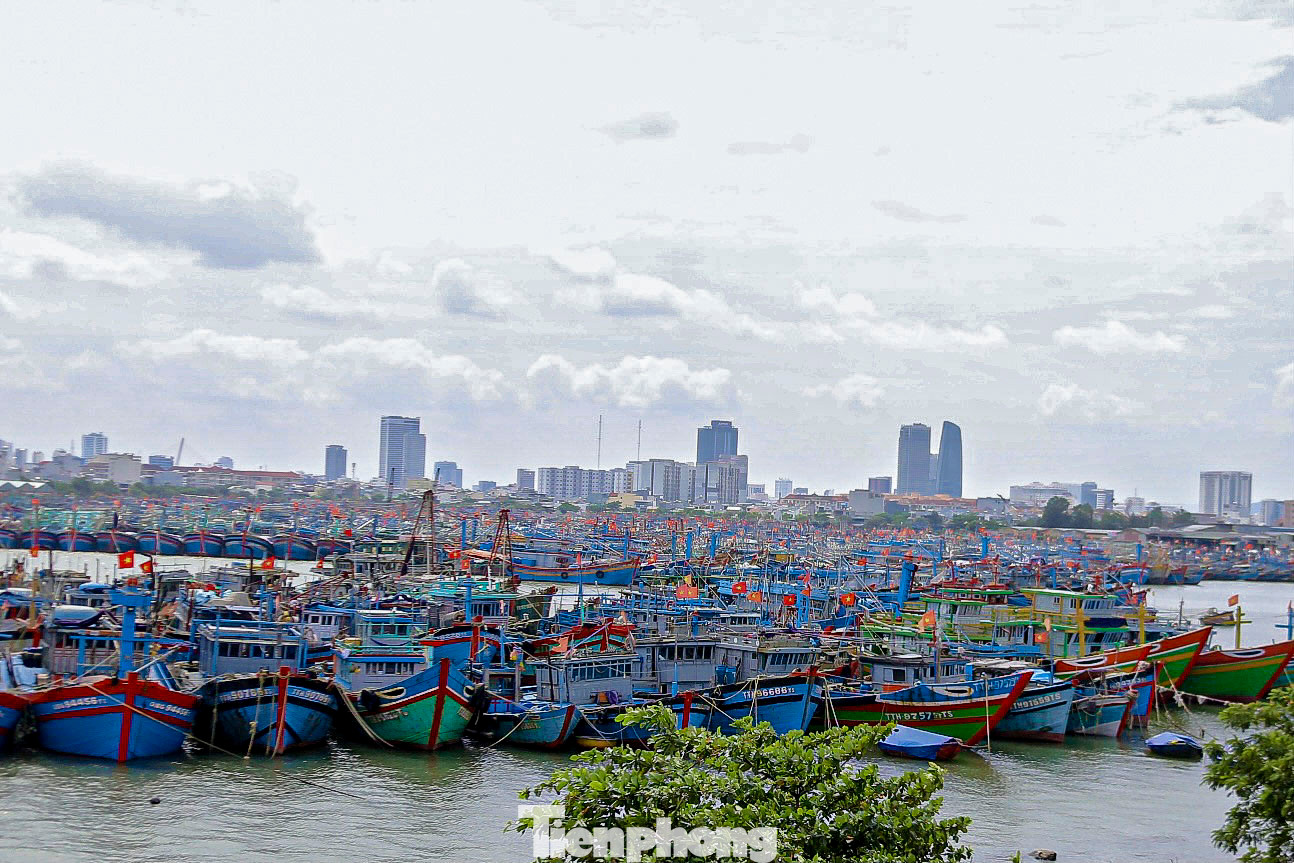 Trước thông tin bão Trà Mi sắp đổ bộ, các tàu cá của Đà Nẵng hoạt động ngoài khơi đã nhanh chóng quay về bờ neo đậu. Trước thông tin bão Trà Mi sắp đổ bộ, các tàu cá của Đà Nẵng hoạt động ngoài khơi đã nhanh chóng quay về bờ neo đậu.