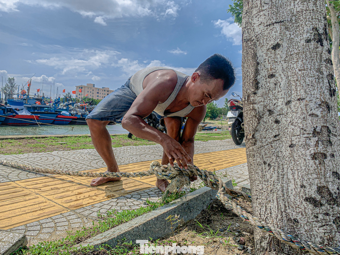 Anh Nguyễn Phong, ngư dân quận Sơn Trà chia sẻ: “Khi nghe tin bão sắp vào biển Đông, tôi đã chủ động đưa thuyền về bờ để neo đậu, đảm bảo an toàn. Cơn bão lần này nghe nói rất phức tạp, nên không chỉ riêng tôi mà các chủ tàu khác cũng hết sức cảnh giác”. Anh Nguyễn Phong, ngư dân quận Sơn Trà chia sẻ: “Khi nghe tin bão sắp vào biển Đông, tôi đã chủ động đưa thuyền về bờ để neo đậu, đảm bảo an toàn. Cơn bão lần này nghe nói rất phức tạp, nên không chỉ riêng tôi mà các chủ tàu khác cũng hết sức cảnh giác”.