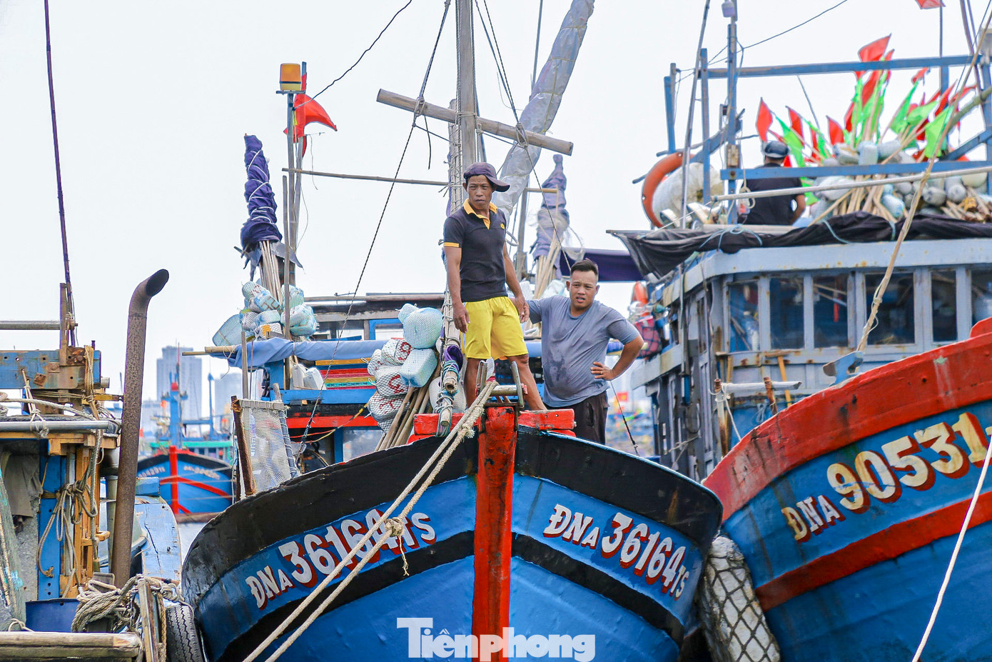 Ngư dân Đà Nẵng neo đậu tàu thuyền tại âu thuyền Thọ Quang tránh bão số 6.