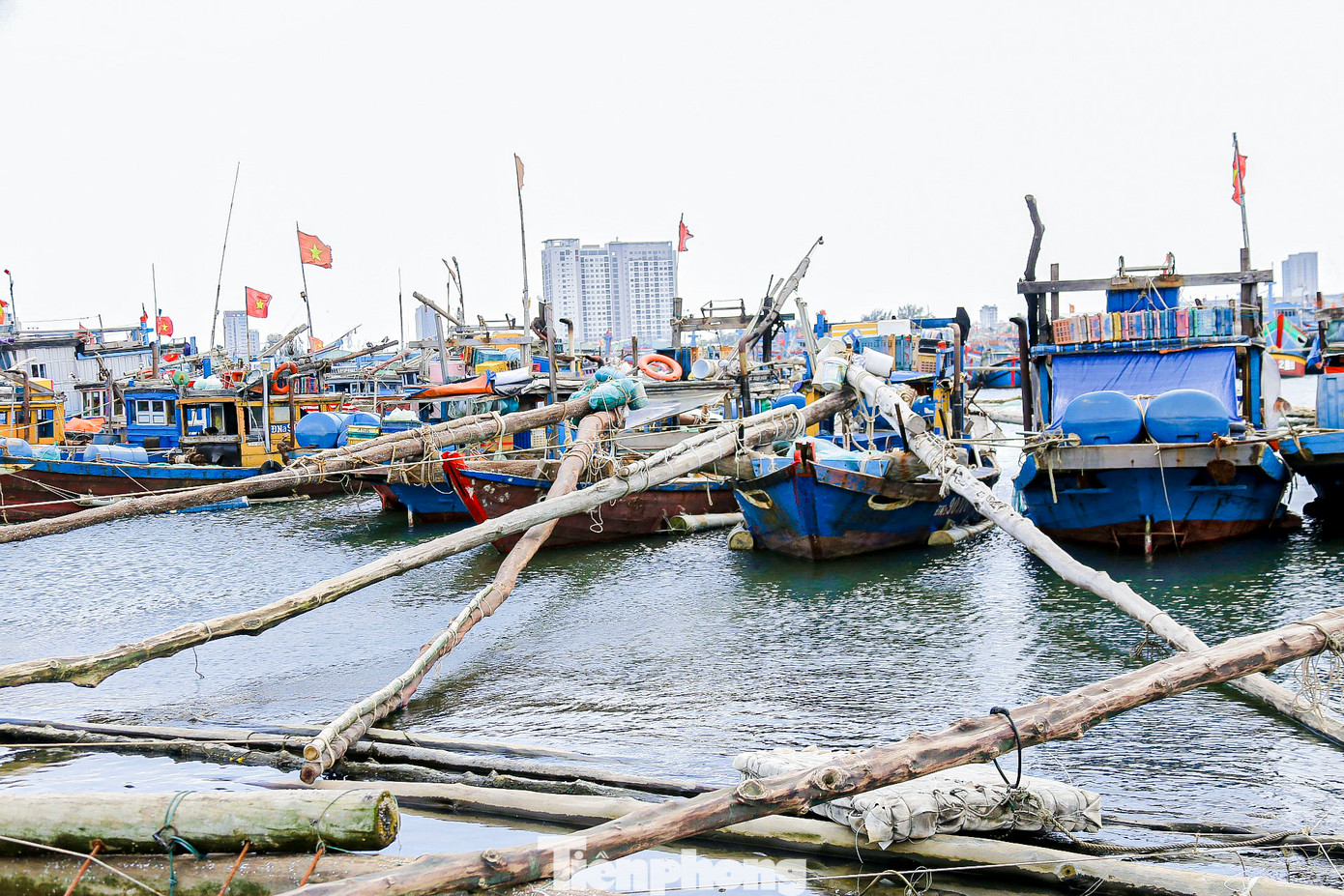 Tàu thuyền của ngư dân Đà Nẵng được chằng chống kỹ càng trước bão. Tàu thuyền của ngư dân Đà Nẵng được chằng chống kỹ càng trước bão.