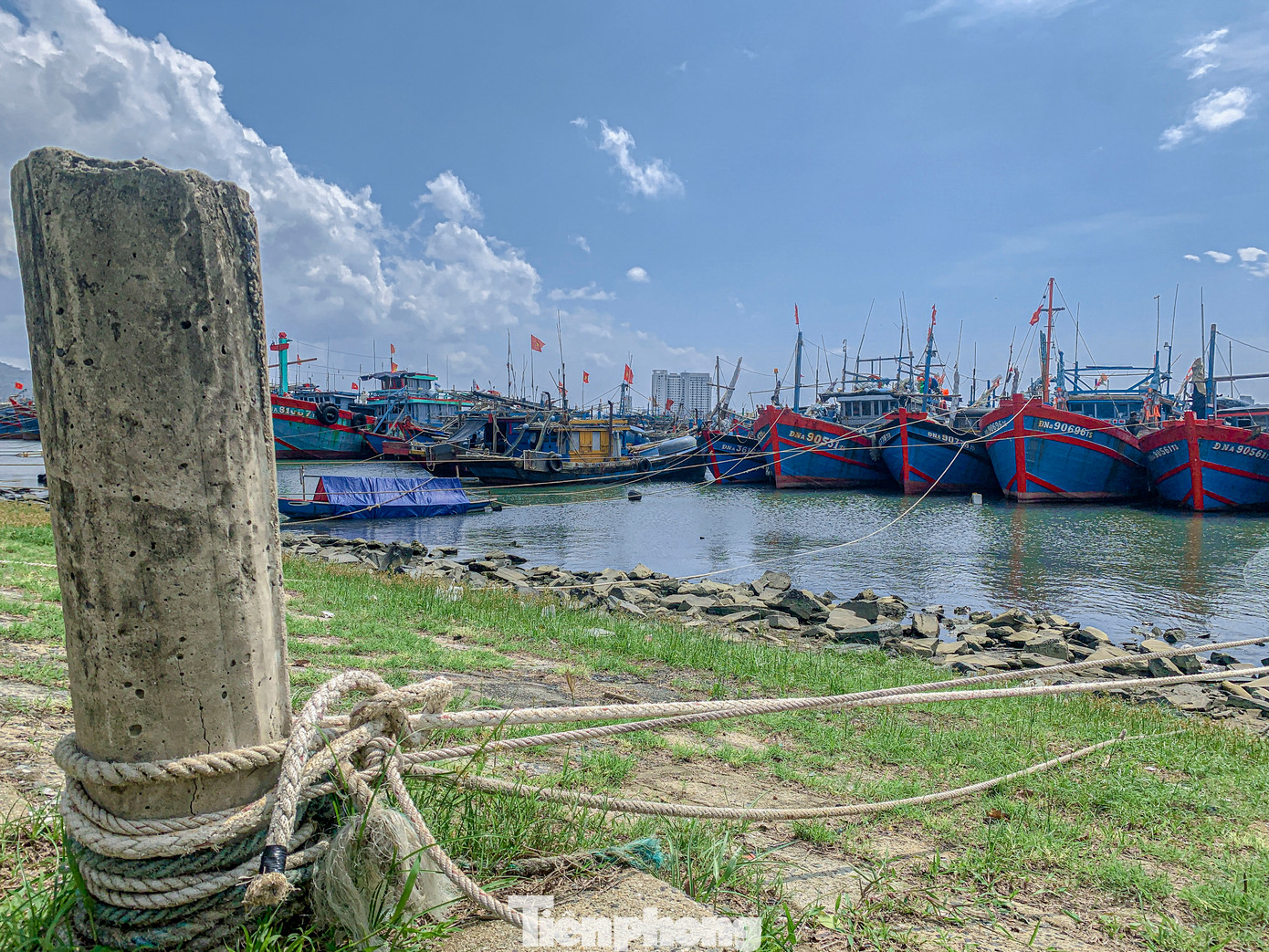 Theo ghi nhận của Tiền Phong, nhiều ngư dân tại âu thuyền Thọ Quang (quận Sơn Trà) khẩn trương neo đậu, gia cố tàu thuyền nhằm giảm thiểu nguy cơ hư hỏng, đảm bảo an toàn cho tài sản khi bão đổ bộ. Theo ghi nhận của Tiền Phong, nhiều ngư dân tại âu thuyền Thọ Quang (quận Sơn Trà) khẩn trương neo đậu, gia cố tàu thuyền nhằm giảm thiểu nguy cơ hư hỏng, đảm bảo an toàn cho tài sản khi bão đổ bộ.