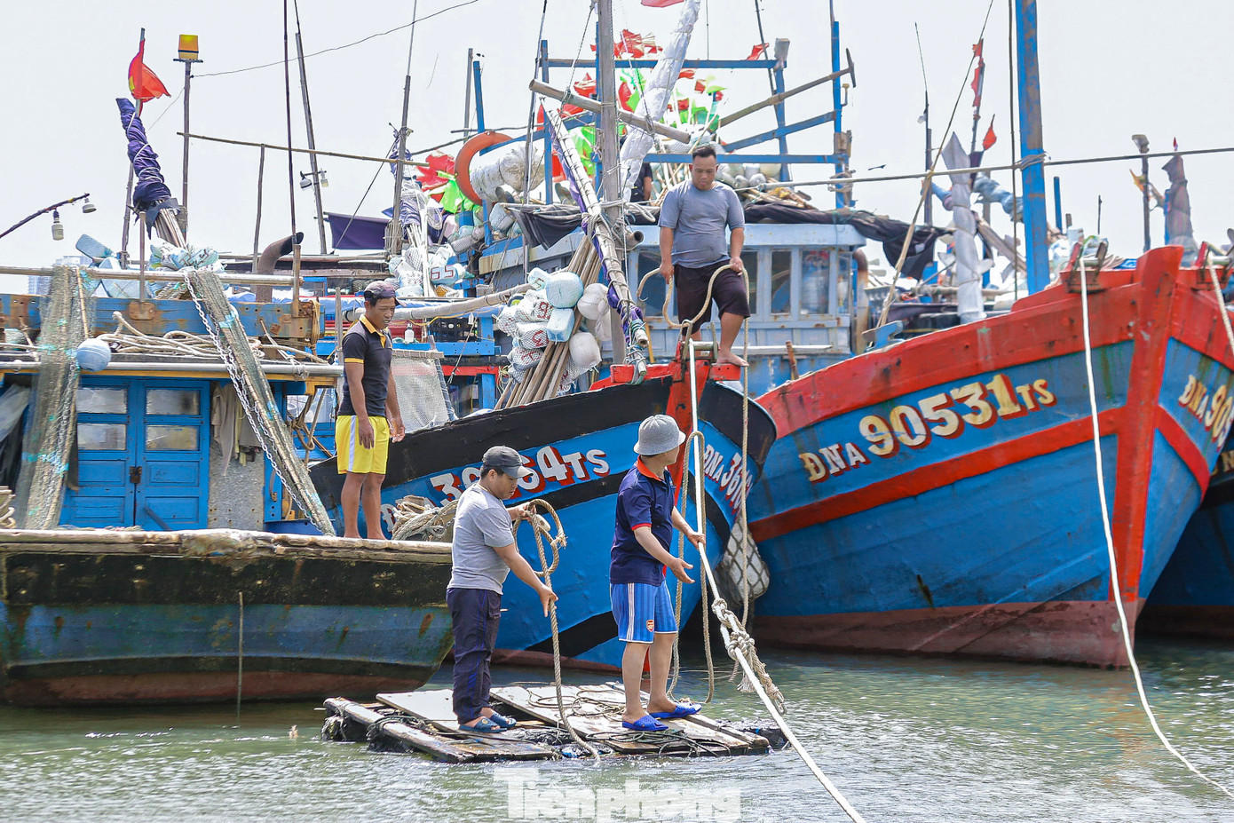 Theo ghi nhận của Tiền Phong, nhiều ngư dân tại âu thuyền Thọ Quang (quận Sơn Trà) khẩn trương neo đậu, gia cố tàu thuyền nhằm giảm thiểu nguy cơ hư hỏng, đảm bảo an toàn cho tài sản khi bão đổ bộ. Theo ghi nhận của Tiền Phong, nhiều ngư dân tại âu thuyền Thọ Quang (quận Sơn Trà) khẩn trương neo đậu, gia cố tàu thuyền nhằm giảm thiểu nguy cơ hư hỏng, đảm bảo an toàn cho tài sản khi bão đổ bộ.