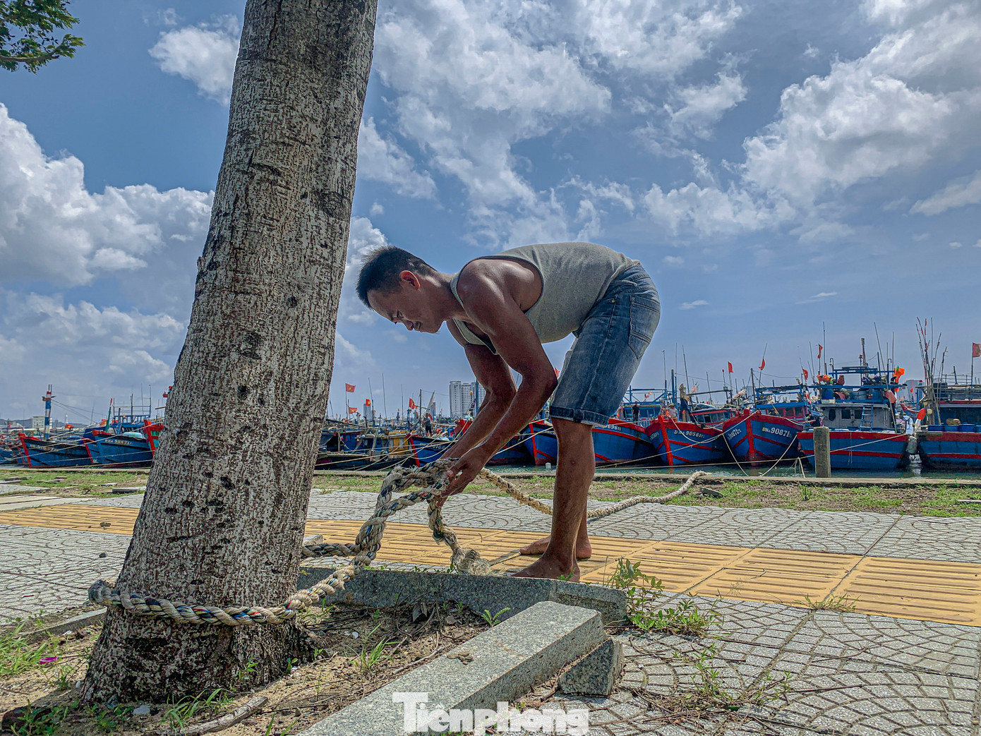 Công an TP. Đà Nẵng phối hợp với BCH Bộ đội Biên phòng, Ban Quản lý âu thuyền và Cảng cá Thọ Quang cùng UBND các địa phương bố trí lực lượng thường trực phòng cháy chữa cháy đối với tàu thuyền khi neo đậu tránh trú bão tại âu thuyền Thọ Quang và vịnh Mân Quang, không để xảy ra cháy nổ, đảm bảo an ninh trật tự, an toàn tài sản của nhà nước và nhân dân. Công an TP. Đà Nẵng phối hợp với BCH Bộ đội Biên phòng, Ban Quản lý âu thuyền và Cảng cá Thọ Quang cùng UBND các địa phương bố trí lực lượng thường trực phòng cháy chữa cháy đối với tàu thuyền khi neo đậu tránh trú bão tại âu thuyền Thọ Quang và vịnh Mân Quang, không để xảy ra cháy nổ, đảm bảo an ninh trật tự, an toàn tài sản của nhà nước và nhân dân.