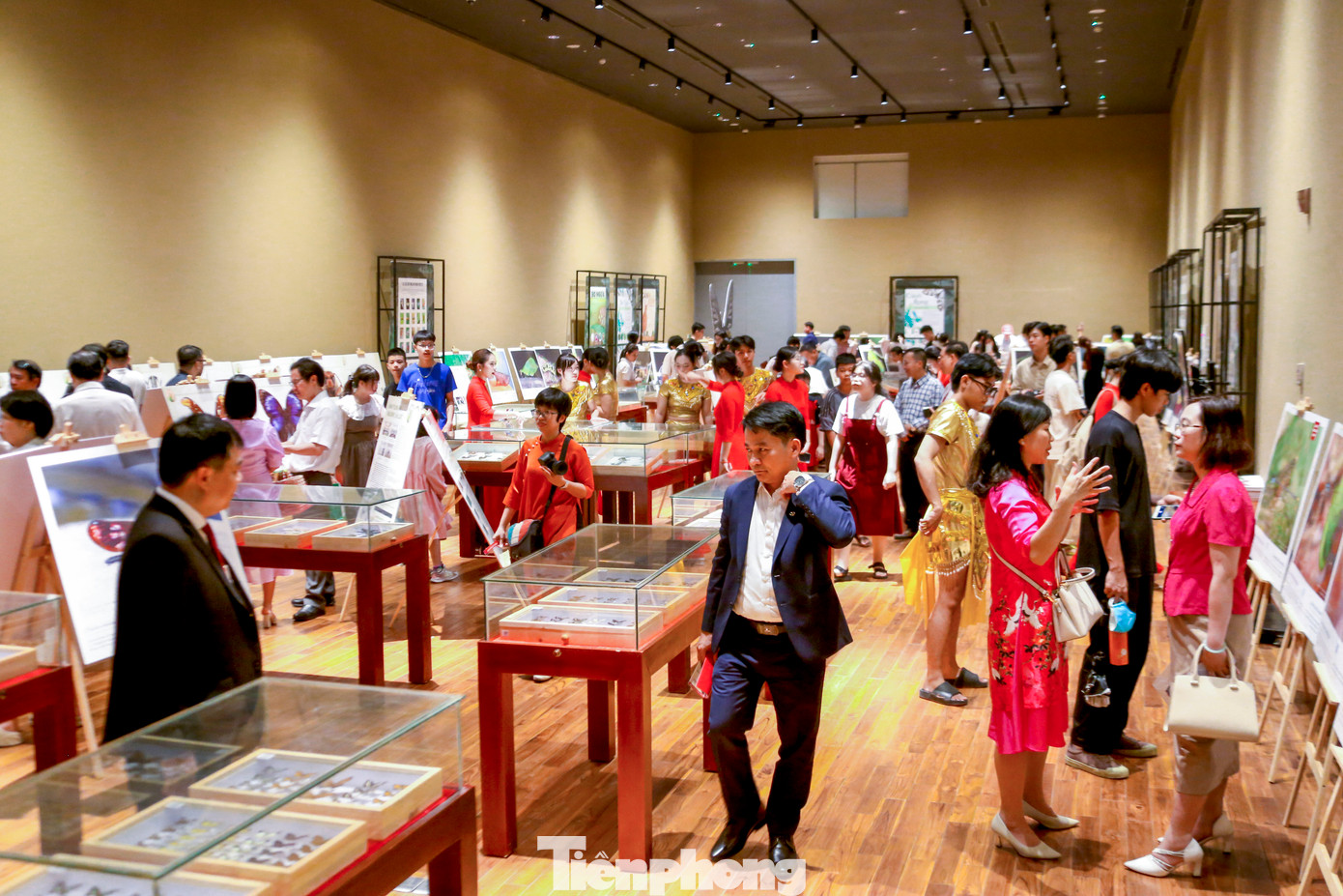 Triển lãm do Đại học Duy Tân và Trường Đại học Đà Lạt phối hợp tổ chức, mang đến hơn 150 bức ảnh, poster và hiện vật sống động về các loài côn trùng được thu thập từ khắp các vùng rừng núi Việt Nam.