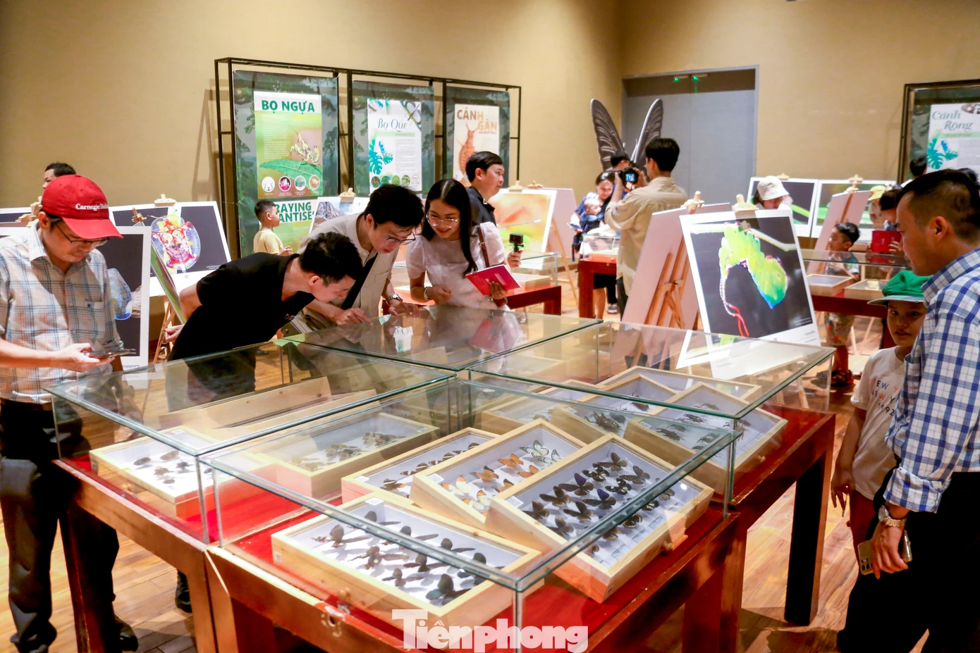Đông đảo bạn trẻ, học sinh và du khách thích thú tham quan, khám phá, tìm hiểu về côn trùng.