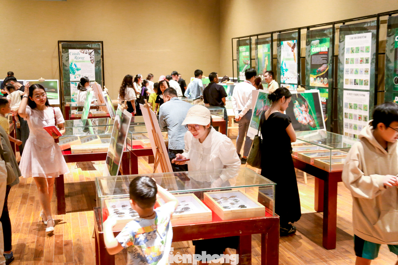 Đây là lần đầu tiên một triển lãm quy mô về sự phong phú và đa dạng của côn trùng Việt Nam được hai trường đại học đồng tổ chức, mở ra cơ hội hiếm có để công chúng tiếp cận.