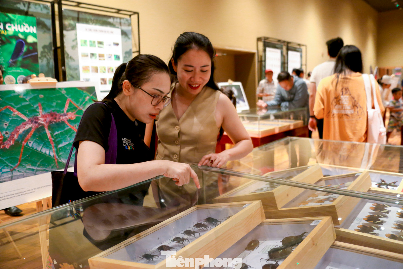 Đông đảo bạn trẻ, học sinh và du khách thích thú tham quan, khám phá, tìm hiểu về côn trùng.