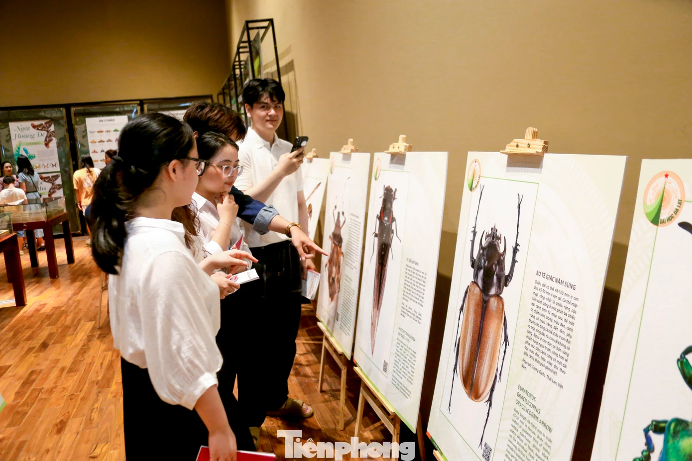 "Thông qua triển lãm, nhóm mình cũng hiểu hơn về vai trò quan trọng của côn trùng trong hệ sinh thái và trong đời sống con người, từ thụ phấn, phân hủy chất hữu cơ, đến làm dược liệu và thực phẩm. Sau hôm nay, mình thấy trân trọng hơn những sinh vật nhỏ bé nhưng đầy giá trị này. Đây thực sự là một trải nghiệm bổ ích và đáng nhớ", bạn Trần Đoàn Hạnh Nhi, sinh viên trường ĐH Kinh tế Đà Nẵng chia sẻ.