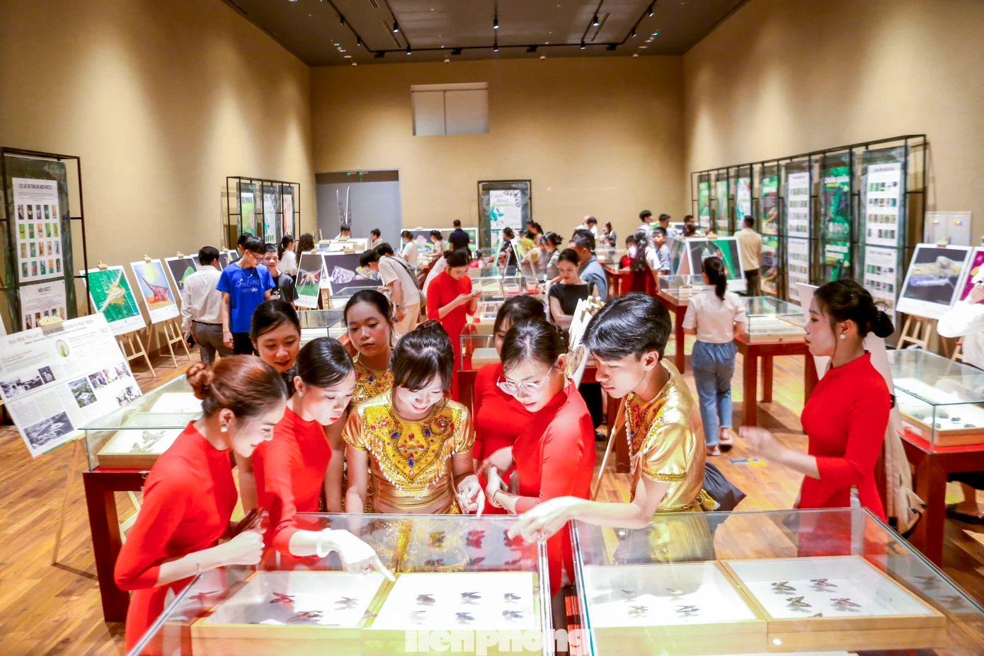 Không chỉ là một hoạt động trưng bày đơn thuần, triển lãm còn là thành quả của quá trình nghiên cứu công phu, tâm huyết của các nhà khoa học thuộc hai trường đại học hàng đầu trong lĩnh vực côn trùng học tại Việt Nam. Những bộ sưu tập quý hiếm, công bố phát hiện các loài mới, cũng như ứng dụng côn trùng trong y học, thực phẩm, công nghệ sinh học… được trình bày đầy lôi cuốn và dễ tiếp cận với công chúng.