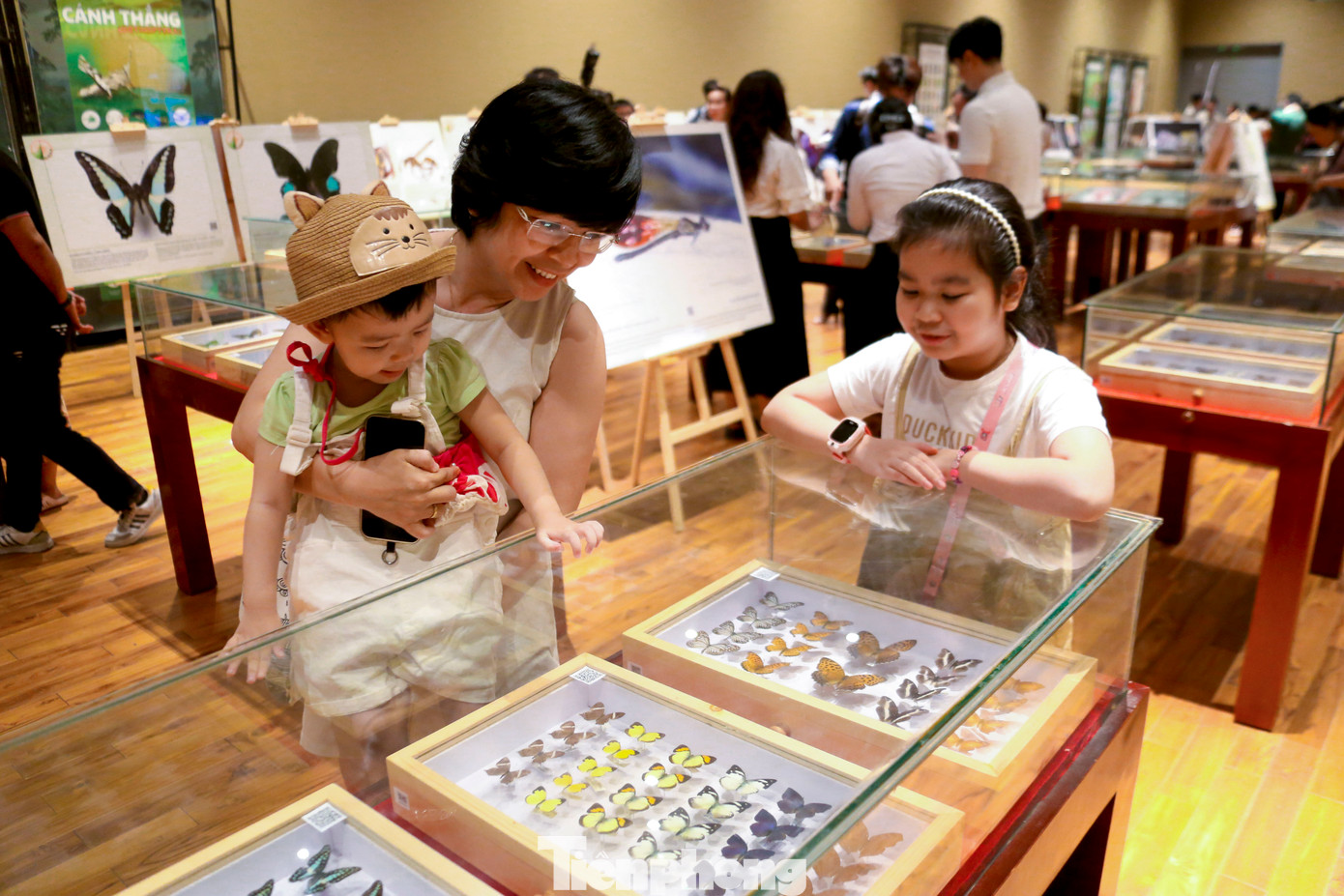 Đông đảo bạn trẻ, học sinh và du khách thích thú tham quan, khám phá, tìm hiểu về côn trùng.