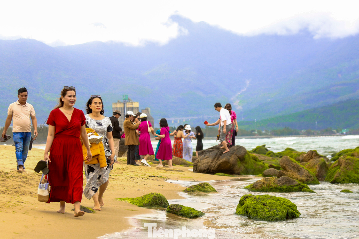 Những ngày này, hàng trăm du khách đã kéo nhau về bãi rêu Nam Ô để check-in, chụp ảnh cảnh đẹp hiếm có nơi đây.