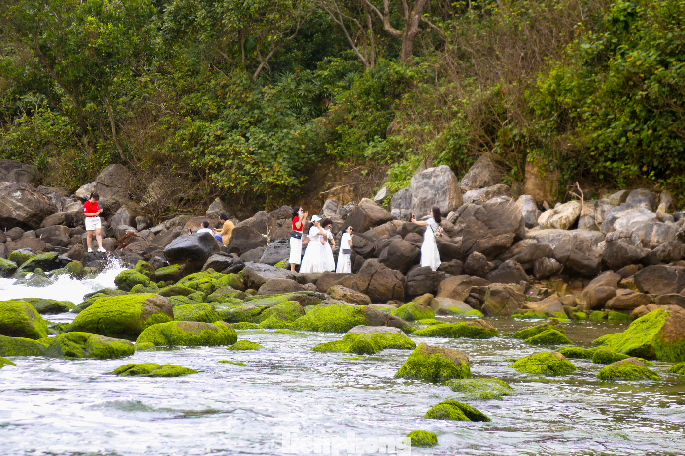 Đông đảo người dân đổ về bãi rêu Nam Ô để tham quan, chụp hình.