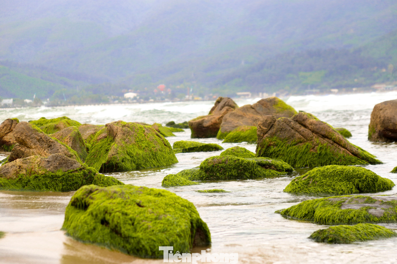 Những tảng đá phủ đầy rêu xanh càng làm tăng thêm sự huyền ảo tại đây, đặc biệt là vào những lúc bình minh hay hoàng hôn.