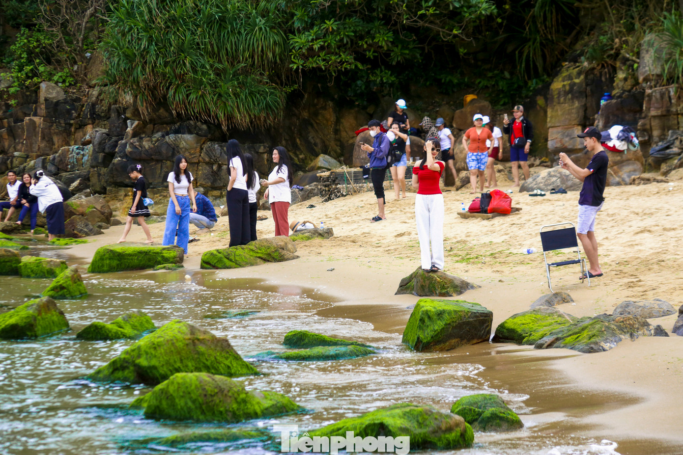 Đông đảo người dân đổ về bãi rêu Nam Ô để tham quan, chụp hình.