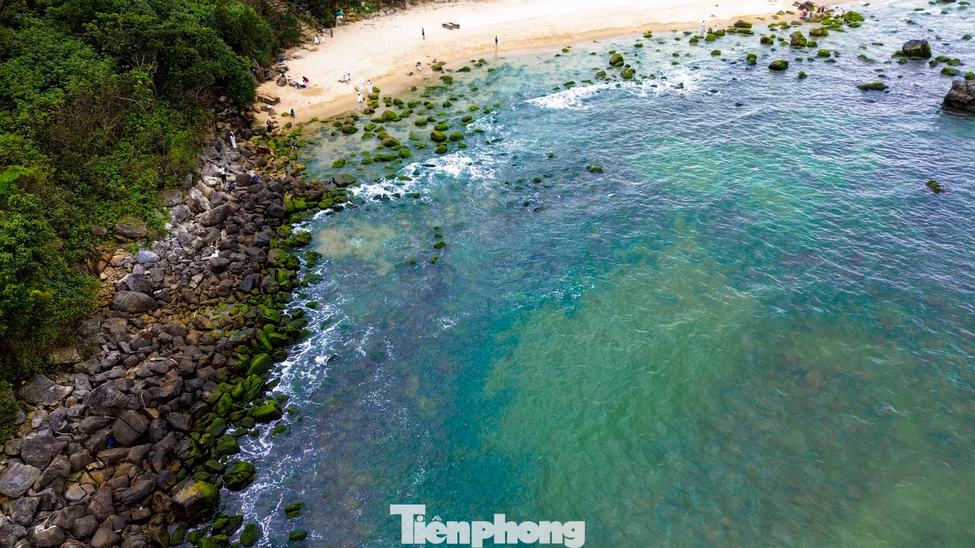 Nằm cách trung tâm thành phố khoảng 17km, bãi rêu Nam Ô (phường Hòa Hiệp Nam, quận Liên Chiểu) nổi bật với những tảng đá lớn phủ đầy rêu xanh mướt, tạo nên một bức tranh thiên nhiên tuyệt đẹp.