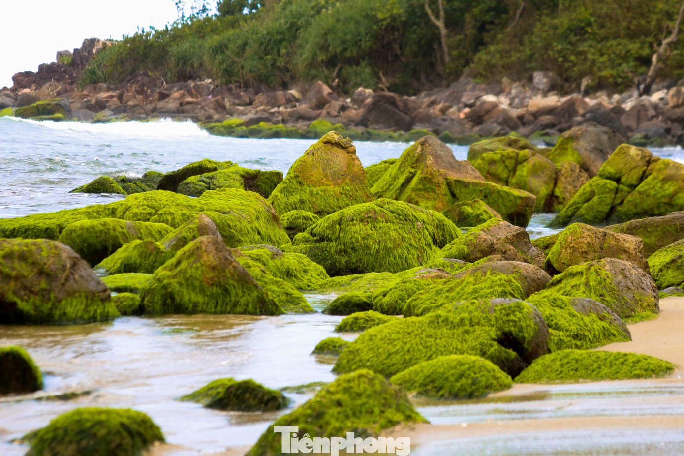 Những tảng đá phủ đầy rêu xanh càng làm tăng thêm sự huyền ảo tại đây, đặc biệt là vào những lúc bình minh hay hoàng hôn.