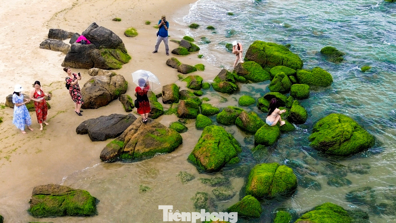 Mỗi khi thủy triều xuống, bãi rêu Nam Ô hiện lên như một bức tranh sinh động, với những viên đá nhấp nhô đầy màu sắc của rêu, tạo thành một “tấm thảm xanh” mênh mông phủ kín bờ biển.