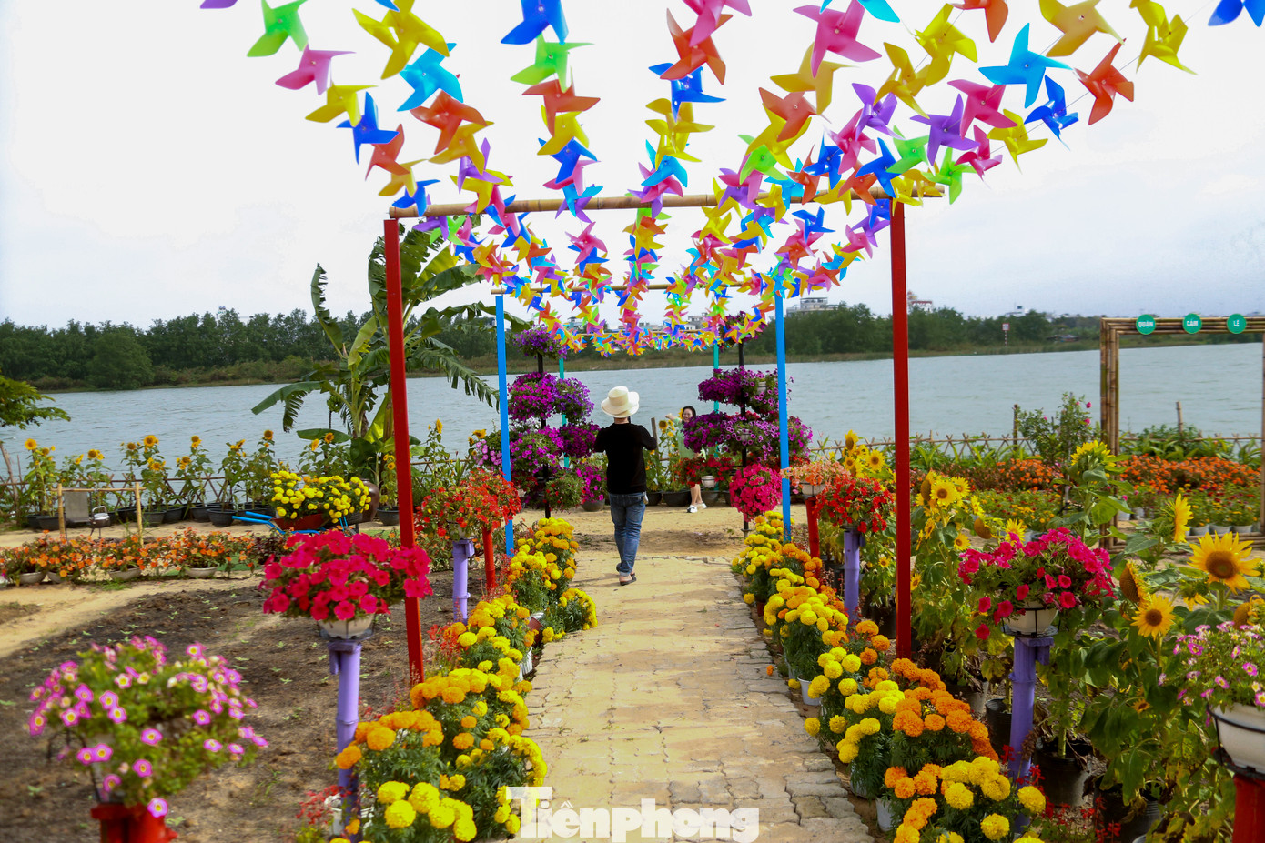 Vườn hoa ven sông là mô hình được quận Cẩm Lệ triển khai vào đúng vào dịp Tết Nguyên đán Ất Tỵ 2025 nhằm tạo điểm nhấn đặc biệt cho không gian, góp phần tô điểm cho vẻ đẹp cảnh quan, phục vụ cho nhân dân, du khách đến tham quan, check-in, trải nghiệm. Đây cũng là công trình chào mừng dịp kỷ niệm 50 năm giải phóng thành phố Đà Nẵng.