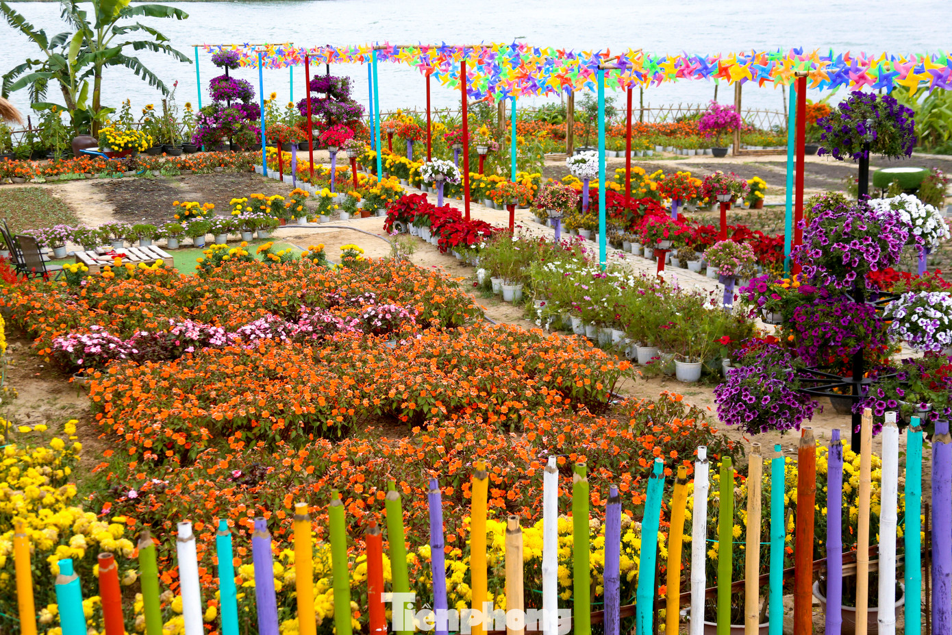 Điểm nhấn của vườn hoa chính là sự đa dạng và rực rỡ của các loại hoa. Dọc theo con đường bao quanh vườn hoa, nhiều người có thể dễ dàng tìm thấy những khóm hoa nở rộ, mang đến một không gian tươi mới, thích hợp cho những bức ảnh check-in “sống ảo”.