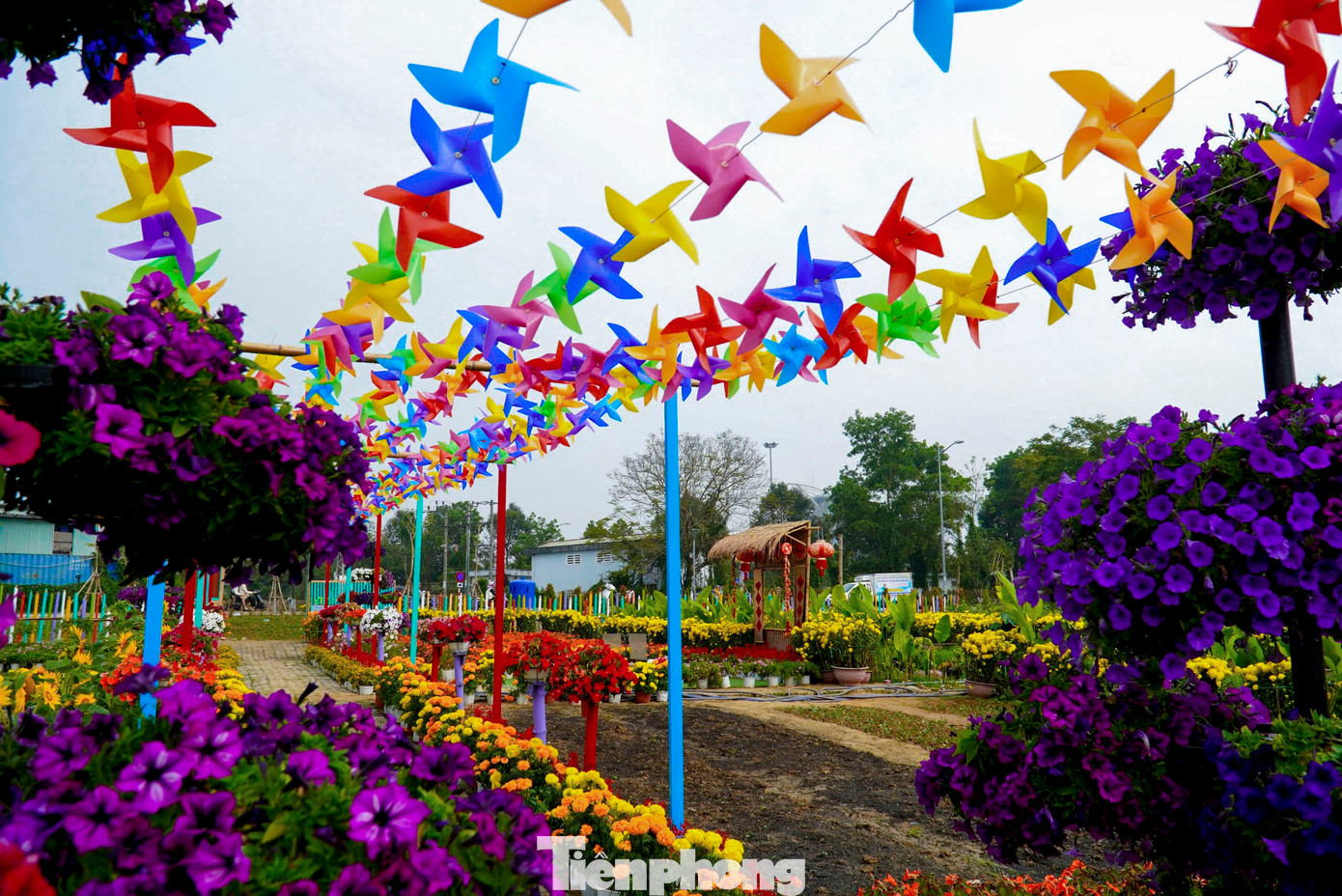 Nằm ven bờ sông Cẩm Lệ thơ mộng, vườn hoa không chỉ là không gian lý tưởng để thưởng ngoạn thiên nhiên mà còn là nơi thu hút đông đảo người dân đến check-in, lưu lại những khoảnh khắc đẹp.