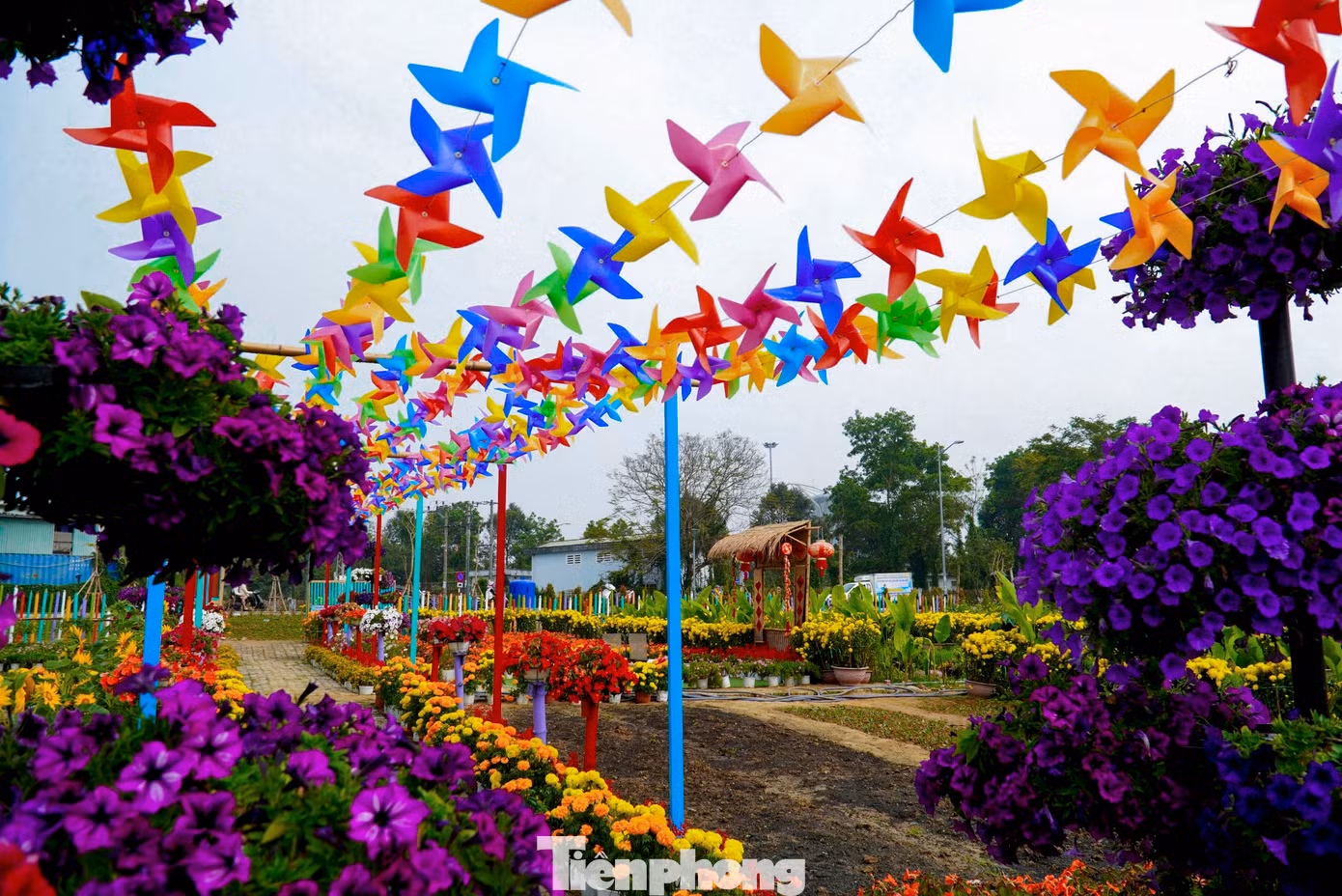 Nằm ven bờ sông Cẩm Lệ thơ mộng, vườn hoa không chỉ là không gian lý tưởng để thưởng ngoạn thiên nhiên mà còn là nơi thu hút đông đảo người dân đến check-in, lưu lại những khoảnh khắc đẹp.