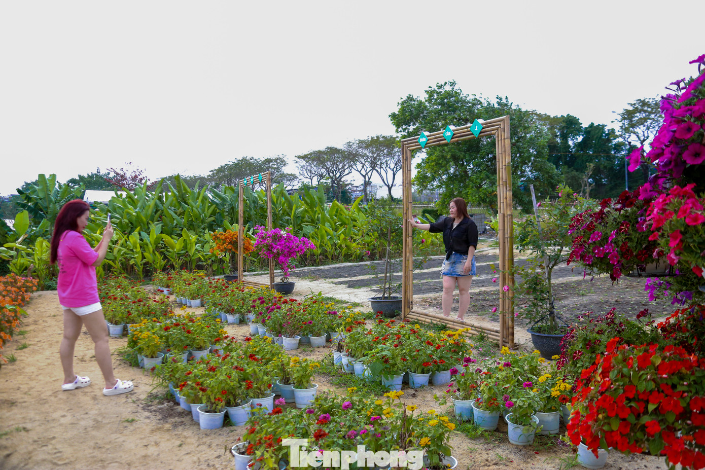 Điểm nhấn của vườn hoa chính là sự đa dạng và rực rỡ của các loại hoa. Dọc theo con đường bao quanh vườn hoa, nhiều người có thể dễ dàng tìm thấy những khóm hoa nở rộ, mang đến một không gian tươi mới, thích hợp cho những bức ảnh check-in “sống ảo”.