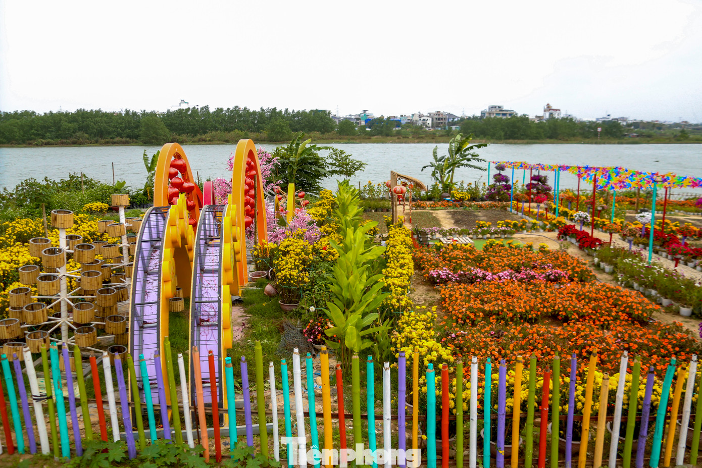 Nằm ven bờ sông Cẩm Lệ thơ mộng, vườn hoa không chỉ là không gian lý tưởng để thưởng ngoạn thiên nhiên mà còn là nơi thu hút đông đảo người dân đến check-in, lưu lại những khoảnh khắc đẹp.