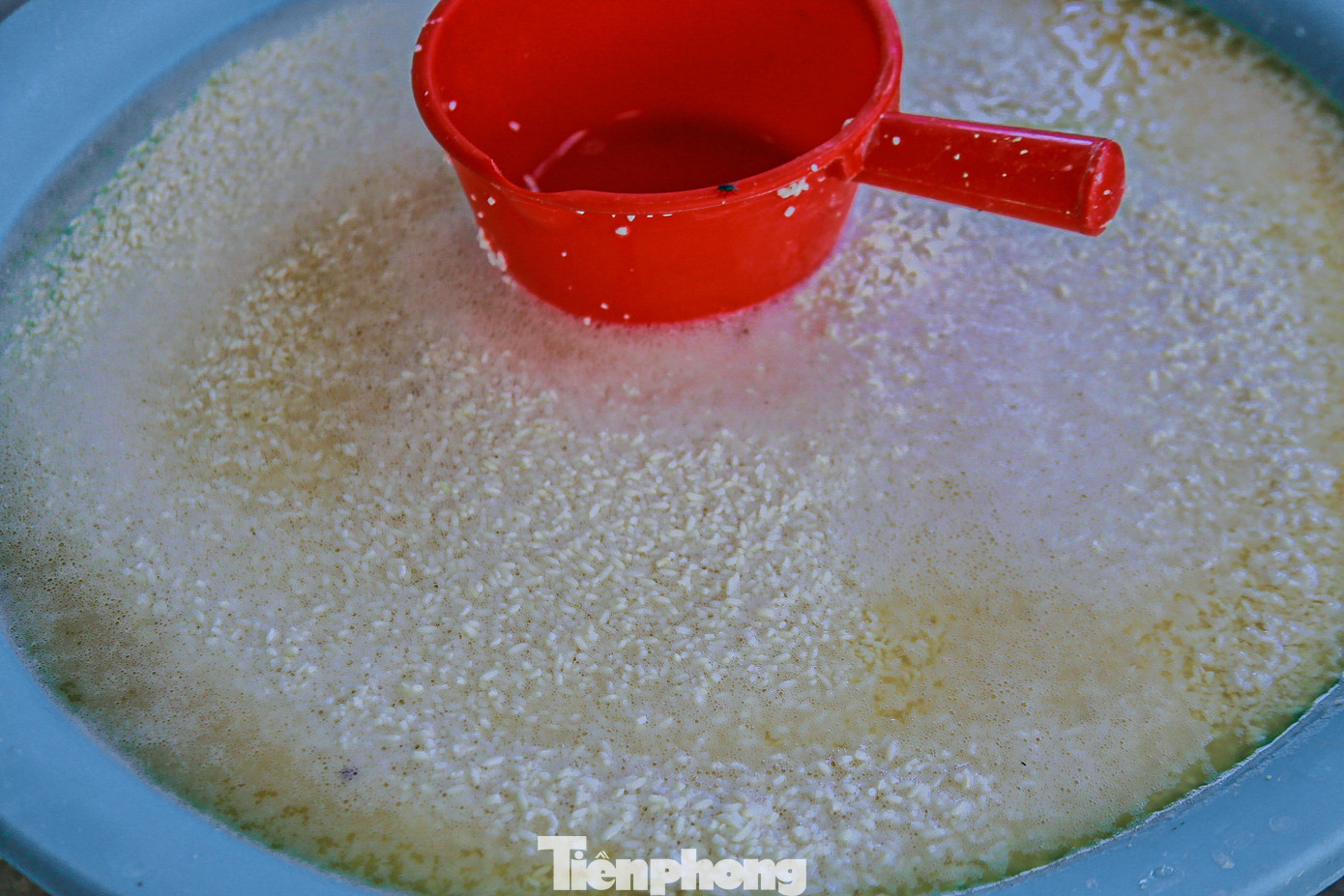 Mọi người chia nhau làm các công đoạn như ngâm nếp, vuốt nếp, chẻ lạt, xếp lá, gói bánh….