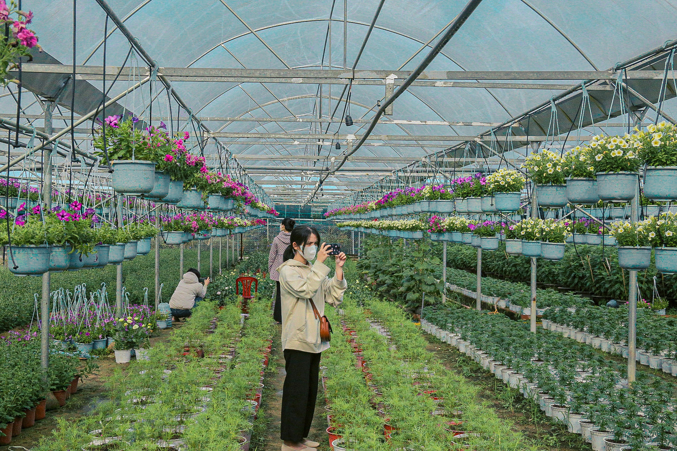 Nhiều bạn trẻ đến đây check-in, thích thú trước khung cảnh rực rỡ sắc màu của hoa.