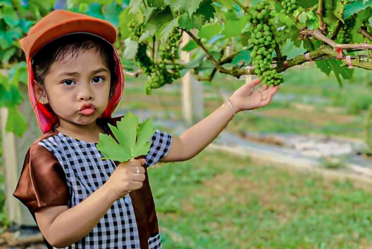 Nhiều em nhỏ háo hức khi đến vườn nho.
