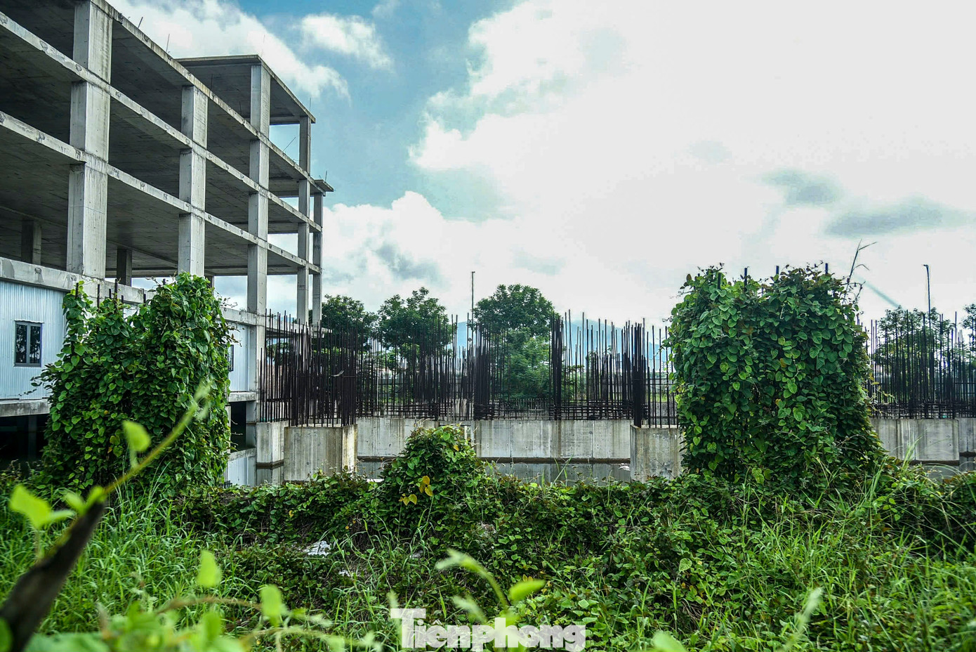 Ghi nhận của PV Tiền Phong, xung quanh dự án trên đường Như Nguyệt được vây kín bằng tôn hiện đã gỉ sét, xiêu vẹo. Phía bên trong cỏ, cây dại mọc tràn lan, lấp kín cả các hạng mục xây dựng. Ghi nhận của PV Tiền Phong, xung quanh dự án trên đường Như Nguyệt được vây kín bằng tôn hiện đã gỉ sét, xiêu vẹo. Phía bên trong cỏ, cây dại mọc tràn lan, lấp kín cả các hạng mục xây dựng.