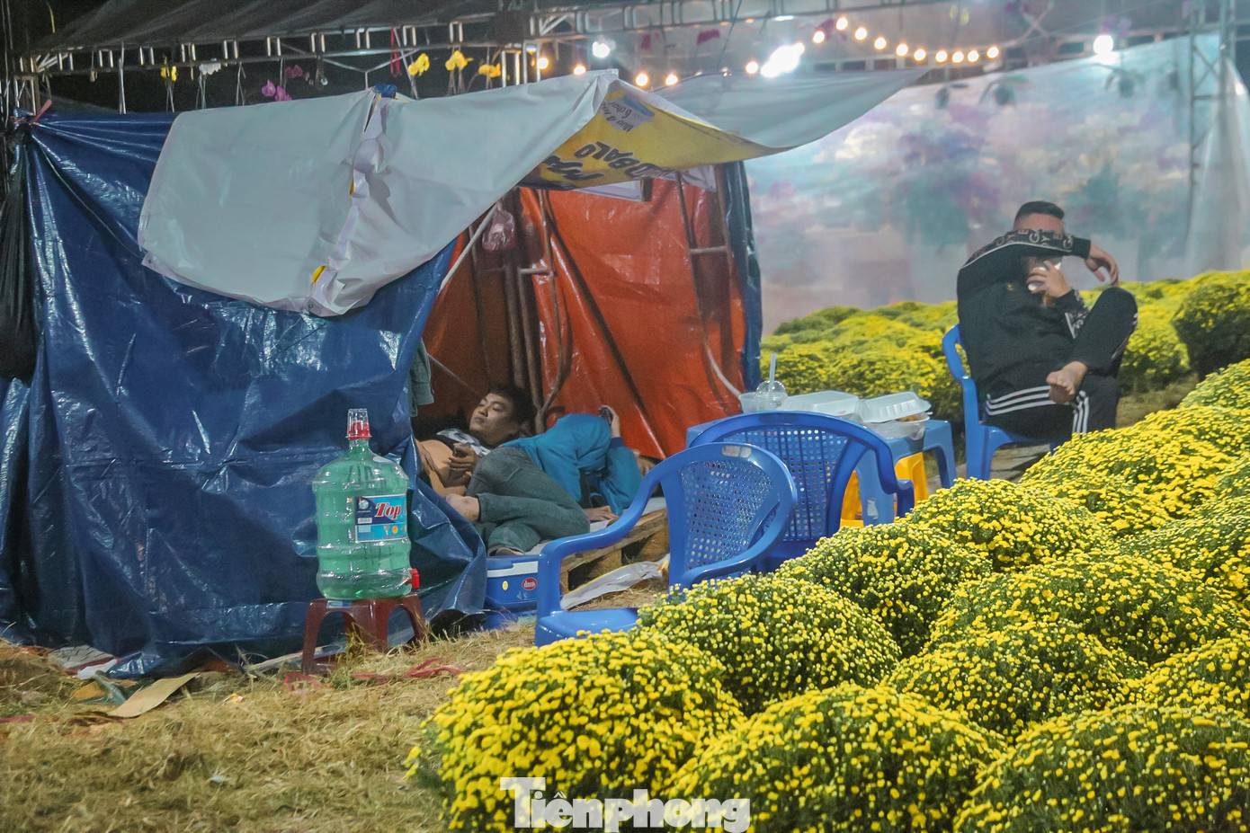 Còn theo các tiểu thương trên đường Hoàng Thị Loan (quận Liên Chiểu), để đề phòng mất trộm họ phải dựng lều, trải bạt cạnh những chậu hoa, cây cảnh của mình để canh giữ. Còn theo các tiểu thương trên đường Hoàng Thị Loan (quận Liên Chiểu), để đề phòng mất trộm họ phải dựng lều, trải bạt cạnh những chậu hoa, cây cảnh của mình để canh giữ.