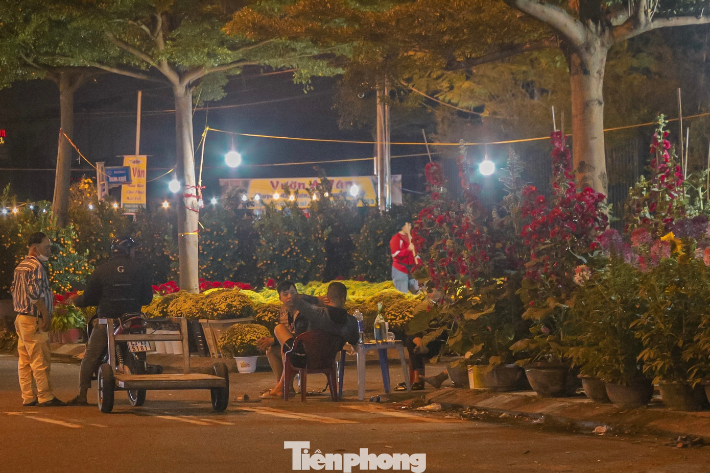 Ghi nhận của PV, tại một số điểm bán cây cảnh, hoa Tết trên các đường Hoàng Thị Loan, Lê Đại Hành, Phan Đăng Lưu (TP Đà Nẵng) đầy rẫy những chiếc võng, ghế xếp hay những tấm bạt được trải vội trên vỉa hè để các tiểu thương nghỉ ngơi sau một ngày làm việc mệt mỏi. Ghi nhận của PV, tại một số điểm bán cây cảnh, hoa Tết trên các đường Hoàng Thị Loan, Lê Đại Hành, Phan Đăng Lưu (TP Đà Nẵng) đầy rẫy những chiếc võng, ghế xếp hay những tấm bạt được trải vội trên vỉa hè để các tiểu thương nghỉ ngơi sau một ngày làm việc mệt mỏi.
