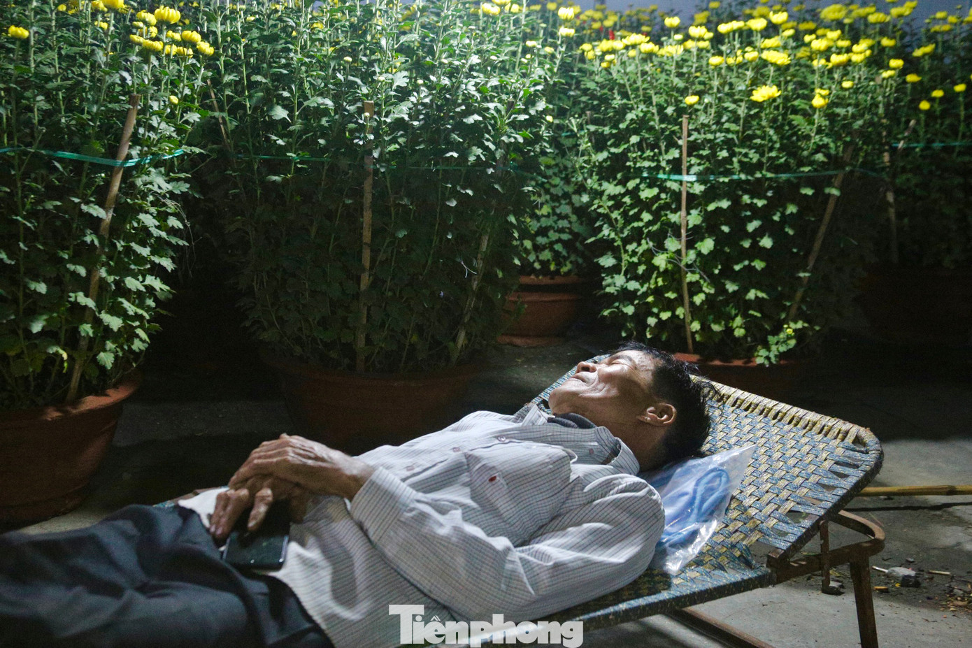 Trời đã khuya, tranh thủ cậu con trai canh hoa giúp, ông Phong chợp mắt một lúc sau ngày làm việc vất vả. Trời đã khuya, tranh thủ cậu con trai canh hoa giúp, ông Phong chợp mắt một lúc sau ngày làm việc vất vả.